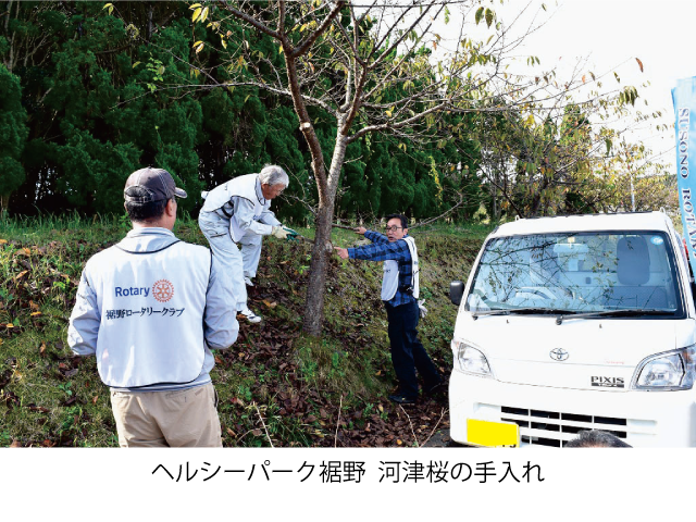 ヘルシーパーク裾野  河津桜の手入れ